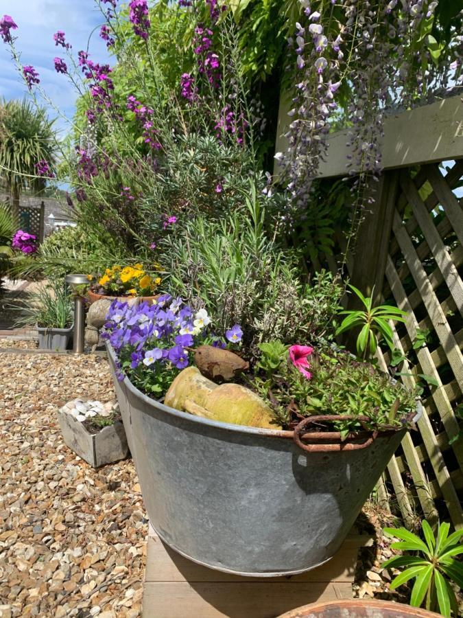 Apartmán Stargazy Garden Hayle Exteriér fotografie