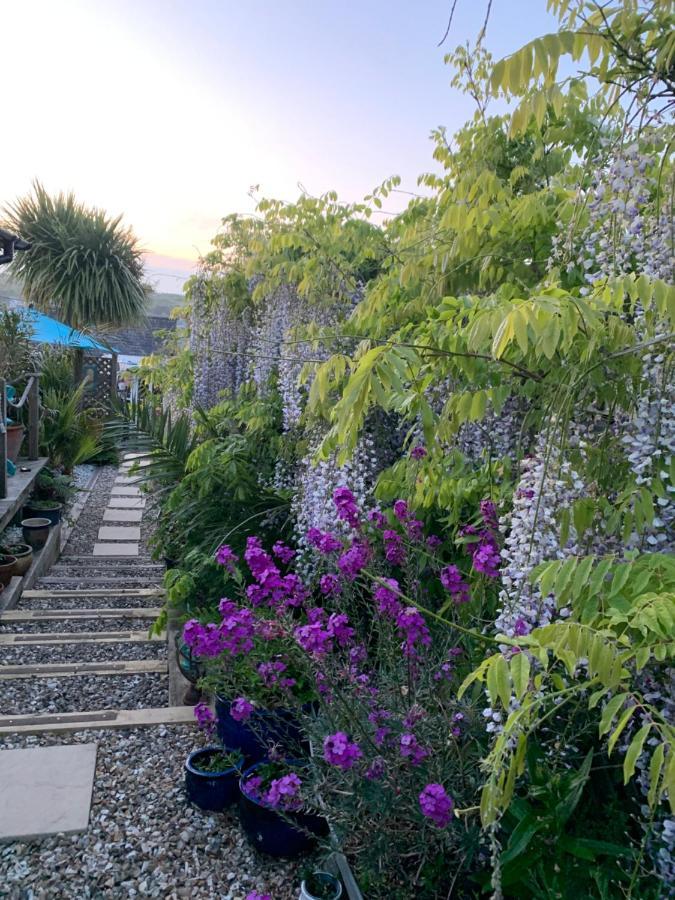 Apartmán Stargazy Garden Hayle Exteriér fotografie